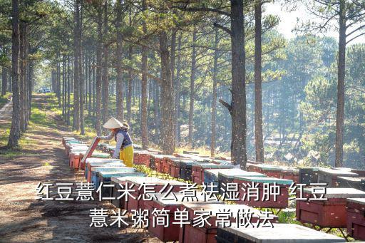  紅豆薏仁米怎么煮祛濕消腫 紅豆 薏米粥簡單家常做法