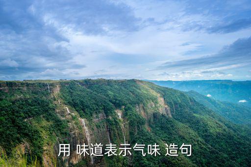 用 味道表示氣味 造句