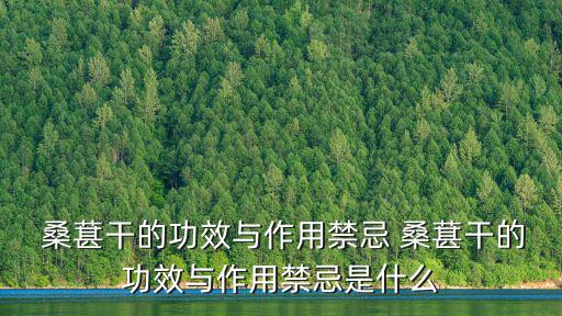 桑葚干的作用,桑葚干怎么吃好吃?