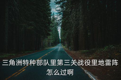 三角洲特種部隊里第三關戰役里地雷陣怎么過啊