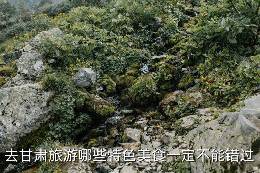 炒撥拉,西北游客列小吃街