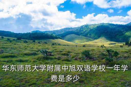華東師范大學附屬中旭雙語學校一年學費是多少