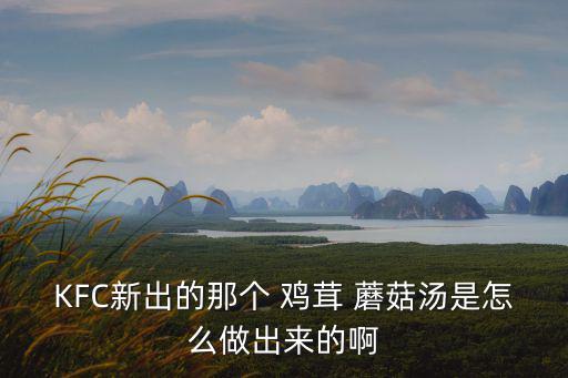 KFC新出的那個 雞茸 蘑菇湯是怎么做出來的啊