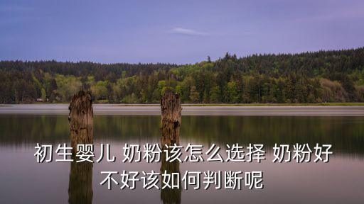 初生兒奶粉,奶粉知多少?問與答（13）
