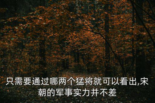 宋軍個人資料,趙構陷西夏陣營孤軍奮戰五天后被擊斃