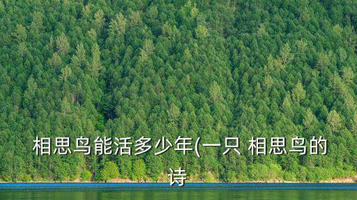  相思鳥能活多少年(一只 相思鳥的詩