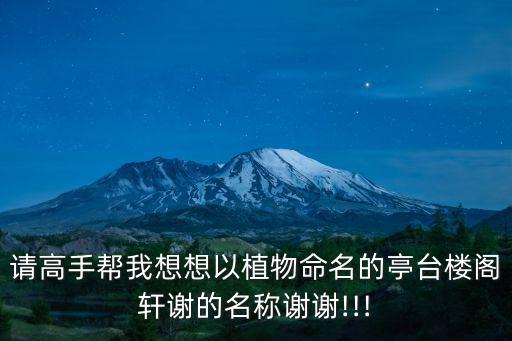 一枝軒,逸風軒景觀群雕塑園林景觀引人入勝