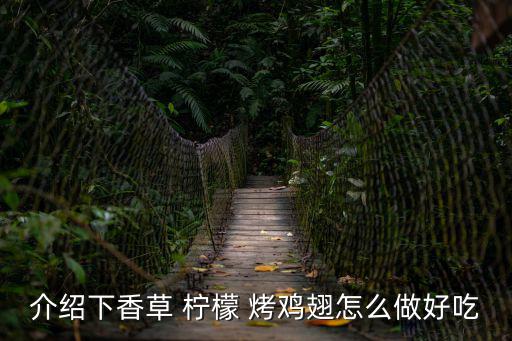 介紹下香草 檸檬 烤雞翅怎么做好吃