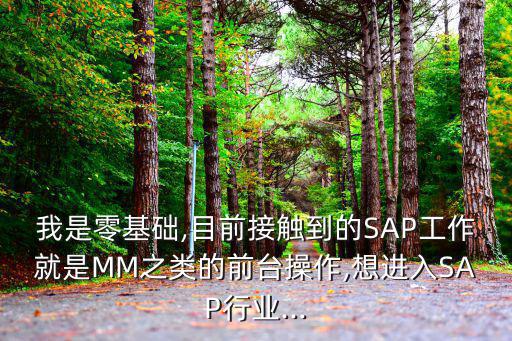 操mm,建議去北航讀研究生或找門檻低內部咨詢公司入手