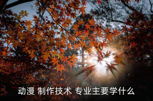 動畫制作專業,動畫專業一個月能掙多少?專業就業方向:2d