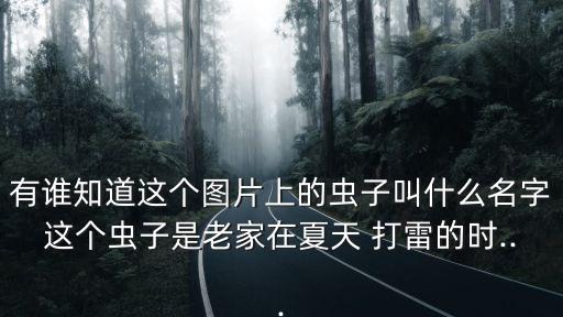 打雷圖片,如何進入饑荒內部?