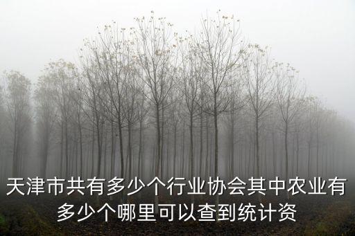 天津市共有多少個行業協會其中農業有多少個哪里可以查到統計資