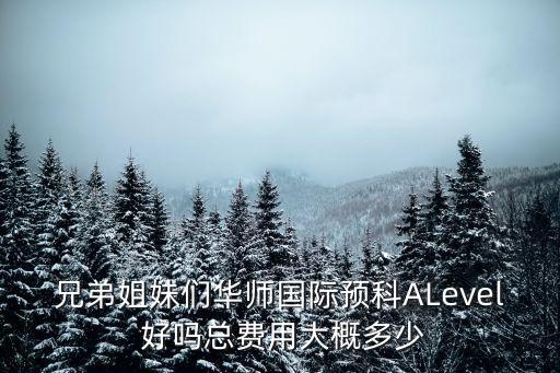 兄弟姐妹們華師國際預科ALevel 好嗎總費用大概多少