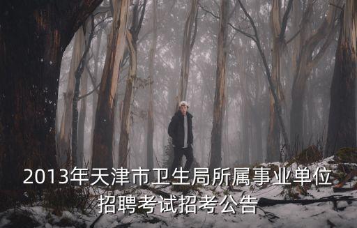 2013年天津市衛(wèi)生局所屬事業(yè)單位招聘考試招考公告