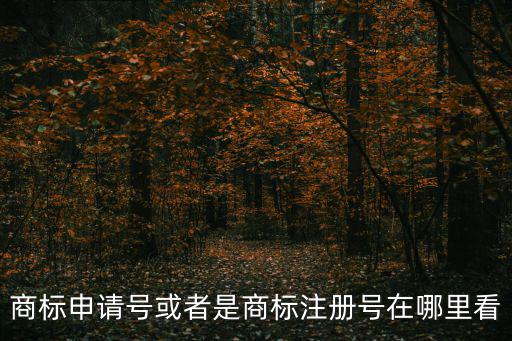 商標(biāo)申請(qǐng)?zhí)柣蛘呤巧虡?biāo)注冊(cè)號(hào)在哪里看