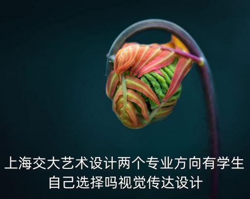上海交大藝術設計兩個專業方向有學生自己選擇嗎視覺傳達設計