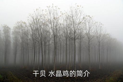 干貝 水晶雞的簡介