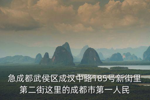 急成都武侯區(qū)成漢中路185號新街里第二街這里的成都市第一人民