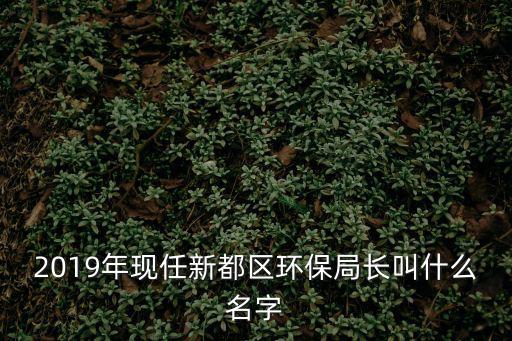 成都市新都區(qū)交通局局長，2019年現(xiàn)任新都區(qū)環(huán)保局長叫什么名字