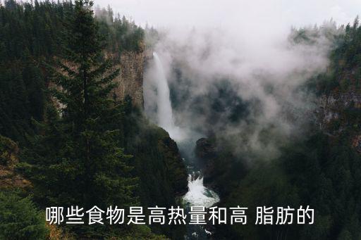 哪些食物是高熱量和高 脂肪的