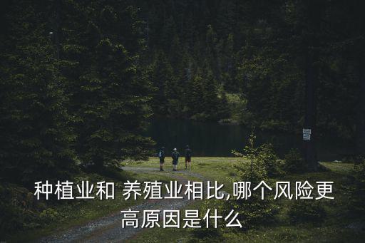 種植養(yǎng)殖,農(nóng)業(yè)養(yǎng)殖怎么養(yǎng)?
