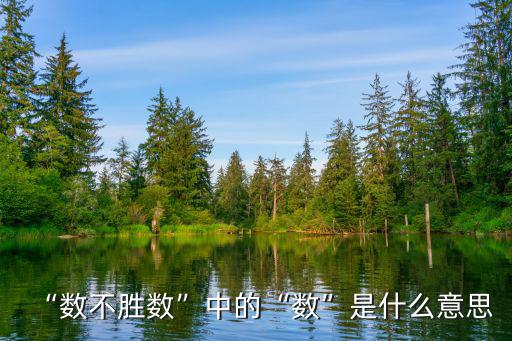 數是什么意思,數學知多少（1）