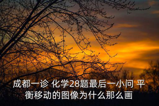成都市青羊區2019一診化學答案，成都一診 化學28題最后一小問 平衡移動的圖像為什么那么畫