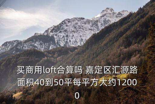 買商用loft合算嗎 嘉定區匯源路面積40到50平每平方大約12000