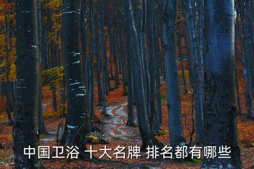 中國衛(wèi)浴 十大名牌 排名都有哪些