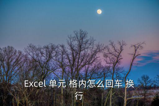 單元格內換行,excel換行表格如何進行操作
