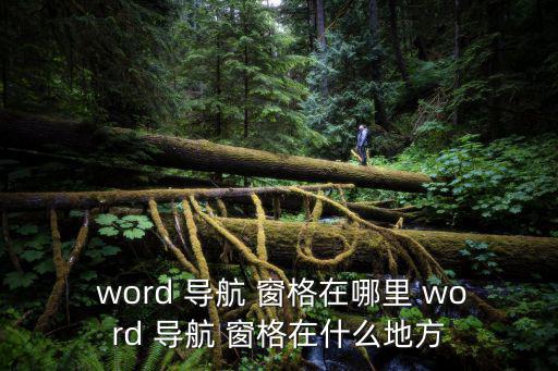  word 導航 窗格在哪里 word 導航 窗格在什么地方