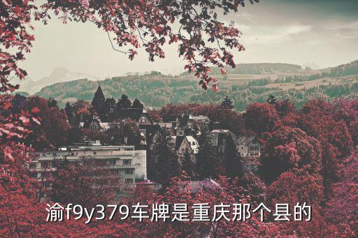 渝f9y379車牌是重慶那個縣的