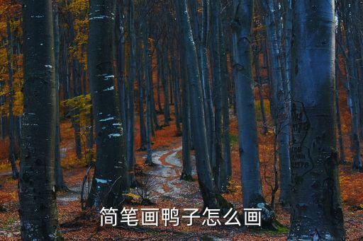 鴨的簡筆畫，鴨子卡通簡筆畫怎么畫圖解