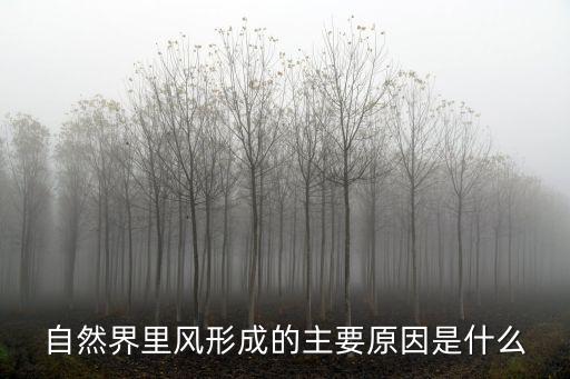 自然界里風(fēng)形成的主要原因是什么