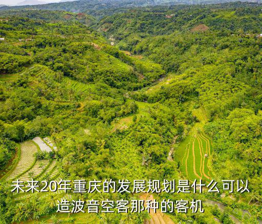 重慶市主城一體化發(fā)展戰(zhàn)略，未來20年重慶的發(fā)展規(guī)劃是什么可以造波音空客那種的客機