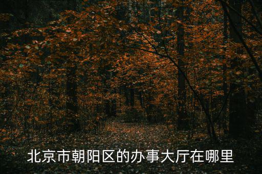 北京市朝陽區(qū)的辦事大廳在哪里