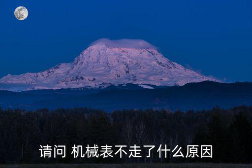 請問 機械表不走了什么原因