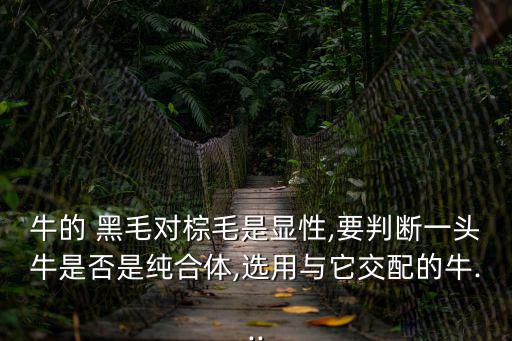 牛的 黑毛對棕毛是顯性,要判斷一頭牛是否是純合體,選用與它交配的牛...