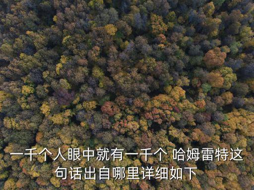一千個(gè)人眼中就有一千個(gè) 哈姆雷特這句話出自哪里詳細(xì)如下
