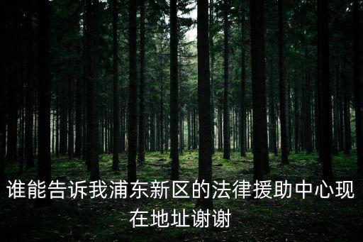 誰能告訴我浦東新區(qū)的法律援助中心現(xiàn)在地址謝謝