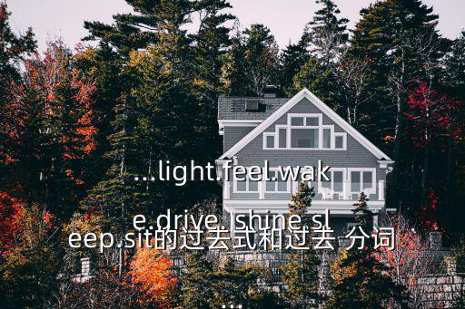 ...light.feel.wake.drive. shine.sleep.sit的過去式和過去 分詞...