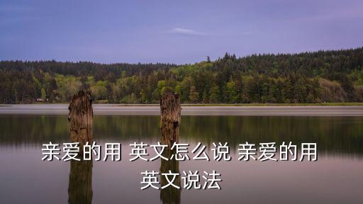 親愛的英文怎么說,親愛的，可愛的,永遠的