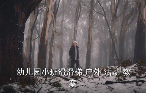  幼兒園小班滑滑梯 戶外 活動(dòng) 教案