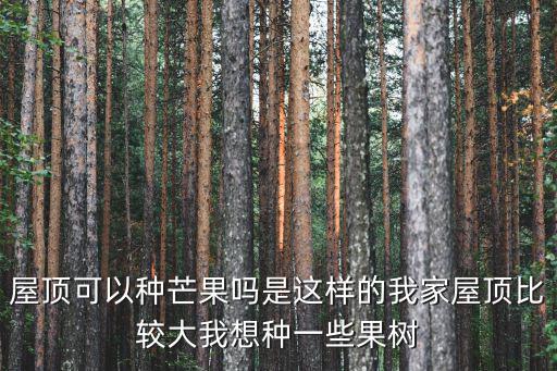 如何種芒果，屋頂可以種芒果嗎是這樣的我家屋頂比較大我想種一些果樹