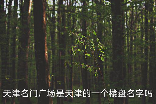 天津市景逸園，天津藍(lán)印樓盤wwwtjyjhtcom好嗎