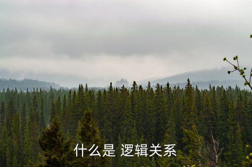 什么是 邏輯關(guān)系
