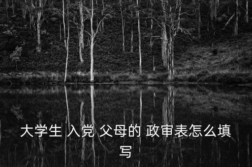 入黨父母政審材料模板,入黨父母政審材料:政審過程如下