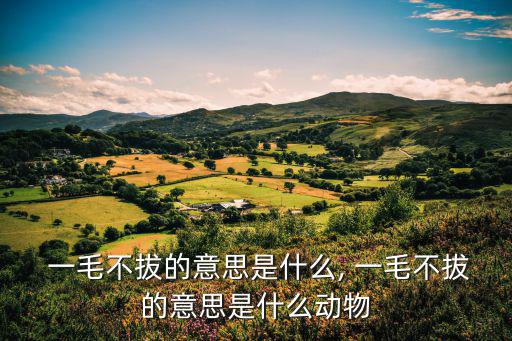 一毛不拔的意思,一毛不拔留下多少根頭發(fā)?