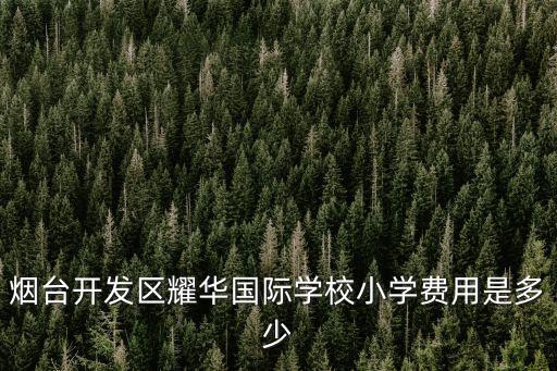 重慶耀華國際學校學費多少錢，煙臺開發區耀華國際學校小學費用是多少