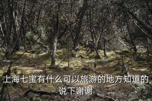 上海七寶有什么可以旅游的地方知道的說下謝謝